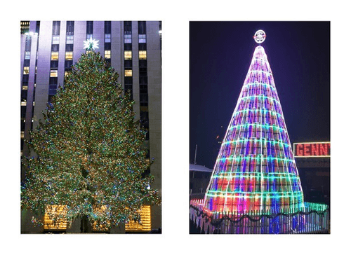 The Rockefeller Tree side by side with Genesee’s iconic Keg Tree, was lit on Friday, Dec. 2.